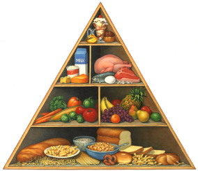 food pyramid